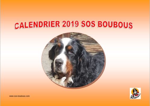 Calendrier 2019