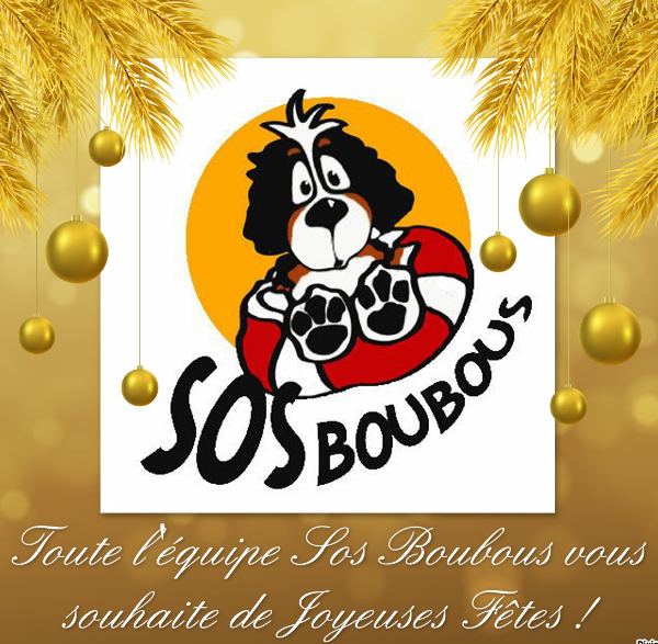 JOYEUSES FÊTES ET BONNE ANNÉE 2019