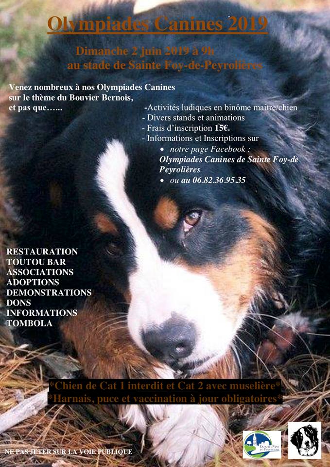 Olympiades Canines de Sainte Foy-de-Peyrolières