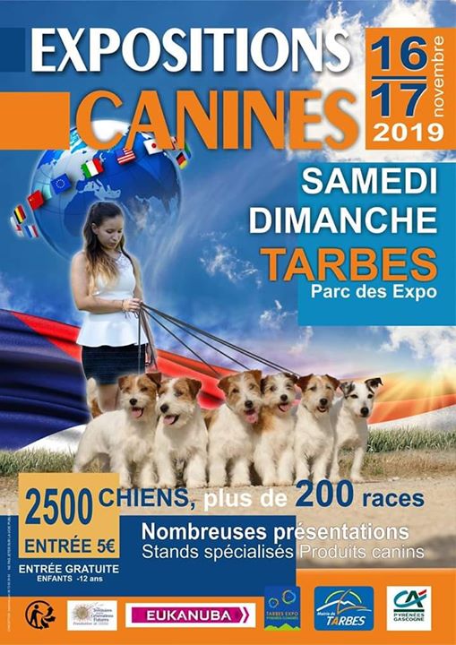 Exposition Canine de Tarbes