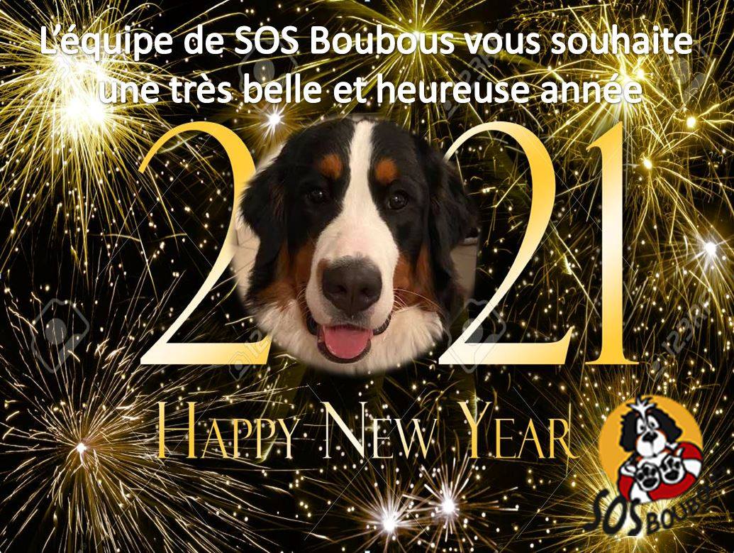 BONNE ANNEE 2021!