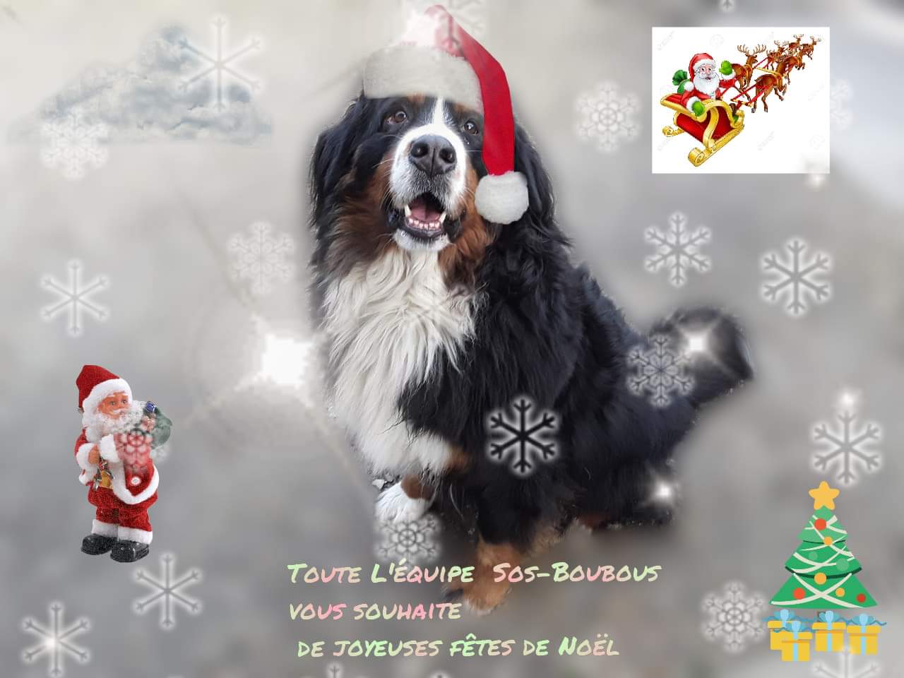 JOYEUX NOEL 2020