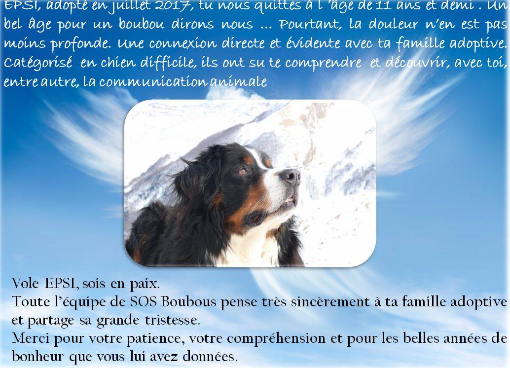 Au revoir EPSI