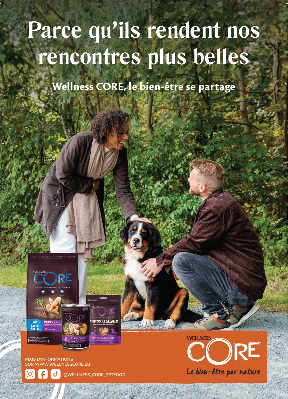 WELLNESS CORE