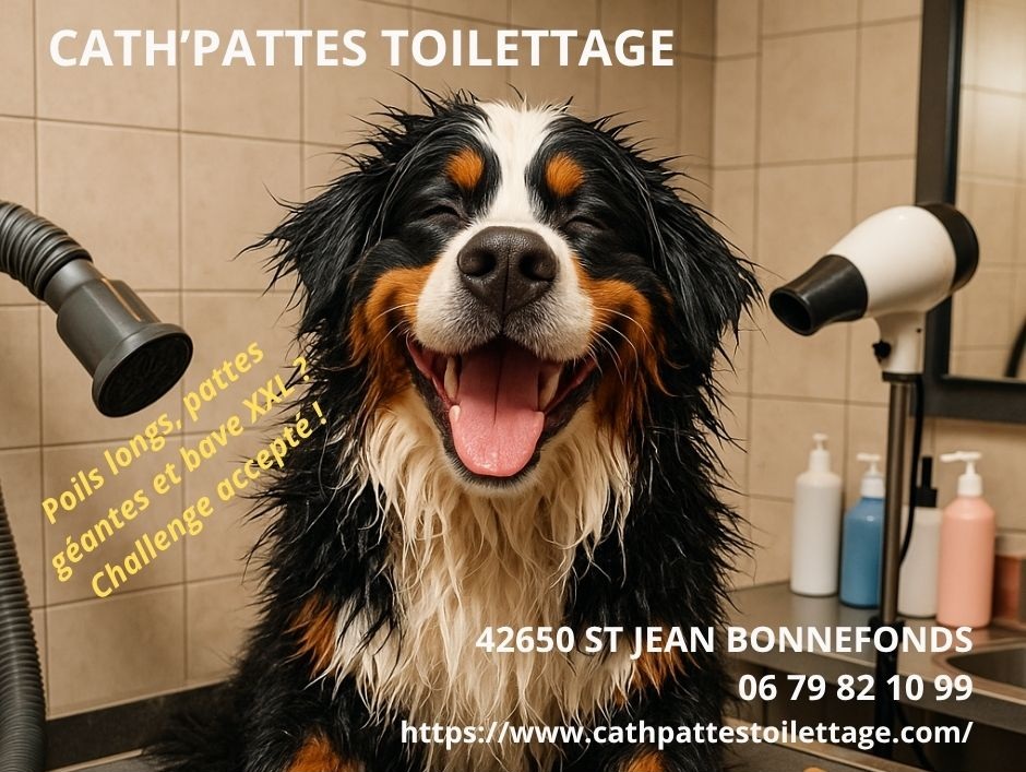 CAT’H PATTES TOILETTAGE