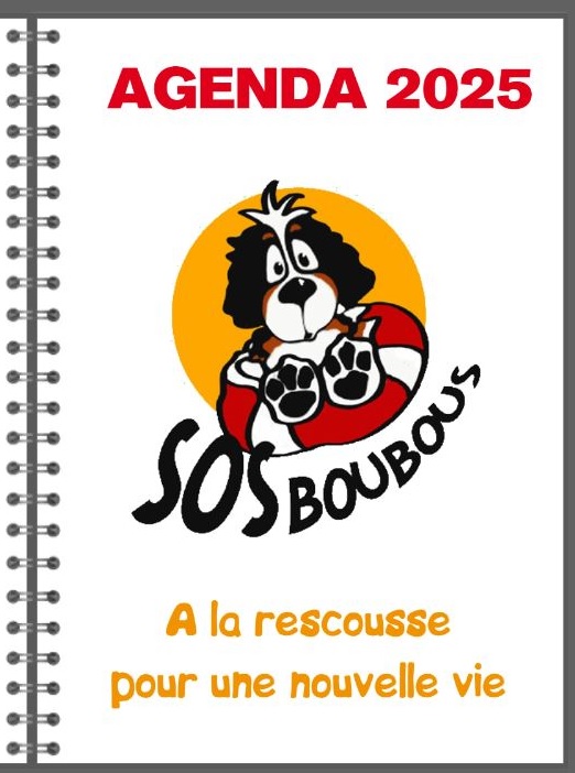 Agendas 2025