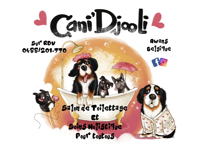 CANI DJOOLI