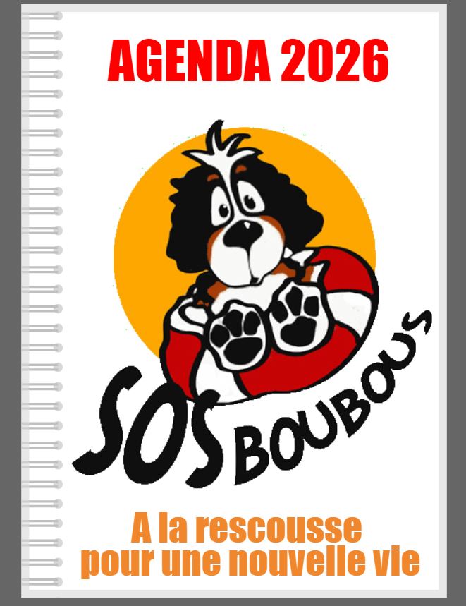 Agendas 2026