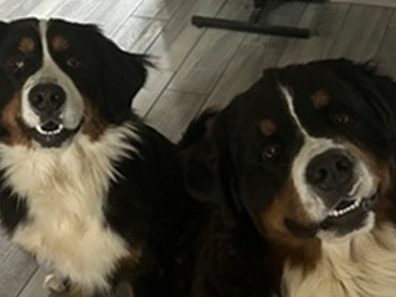 VANILLE et VINNIE sont réservés