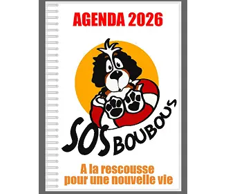 agenda